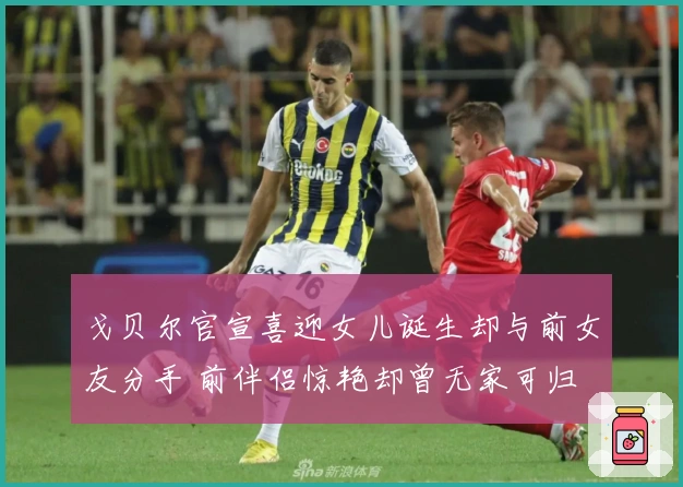 戈贝尔官宣喜迎女儿诞生却与前女友分手 前伴侣惊艳却曾无家可归